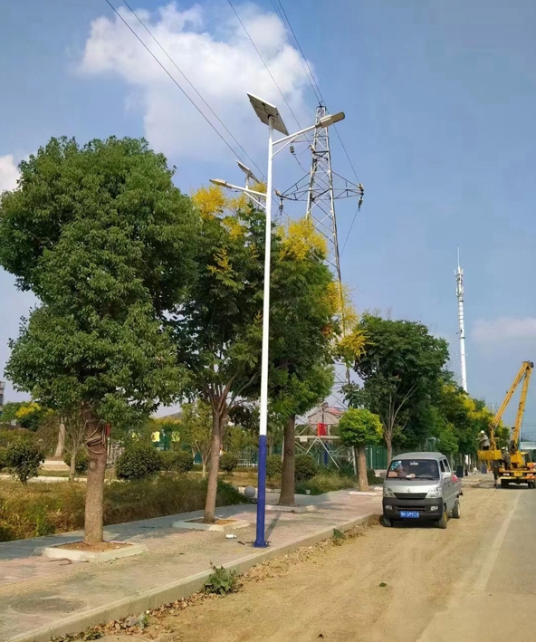 鄉(xiāng)鎮(zhèn)道路太陽能路燈雙臂路燈